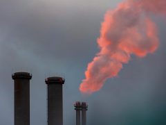 Dinas Damkar Penukal Abab Lematang Ilir Tangani Pohon Tumbang di Gedung DPRD